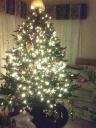 2007 home Christmas tree