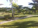 MorningStar Retreat Center, Miami, FL - grounds