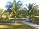 MorningStar Retreat Center, Miami, FL - grounds