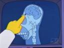 Homer Simpson x-ray of crayon in brain