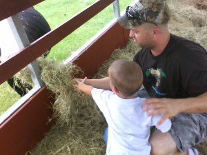 080718_ocala-farm-feeding-cows-2