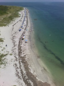 080906_sjv-bill-baggs-09