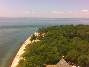 080906_sjv-bill-baggs-16