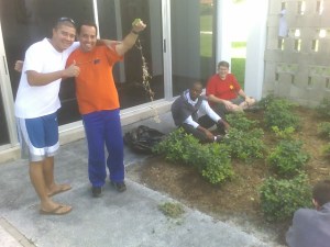 081029_sjvcs-worklist-3-weeders