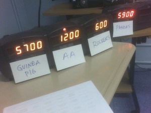 081201_ccd-jeopardy-3 081201_ccd-jeopardy-3