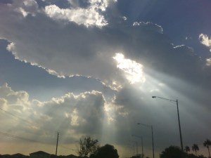 090411_sunlight-1 090411_sunlight-1