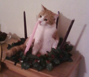 091129-1858_Hillary-Advent-wreath