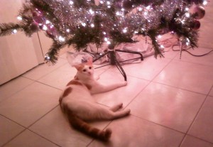 091202-2305_Bill-XMas-tree